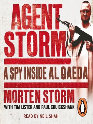 cover image of Agent Storm